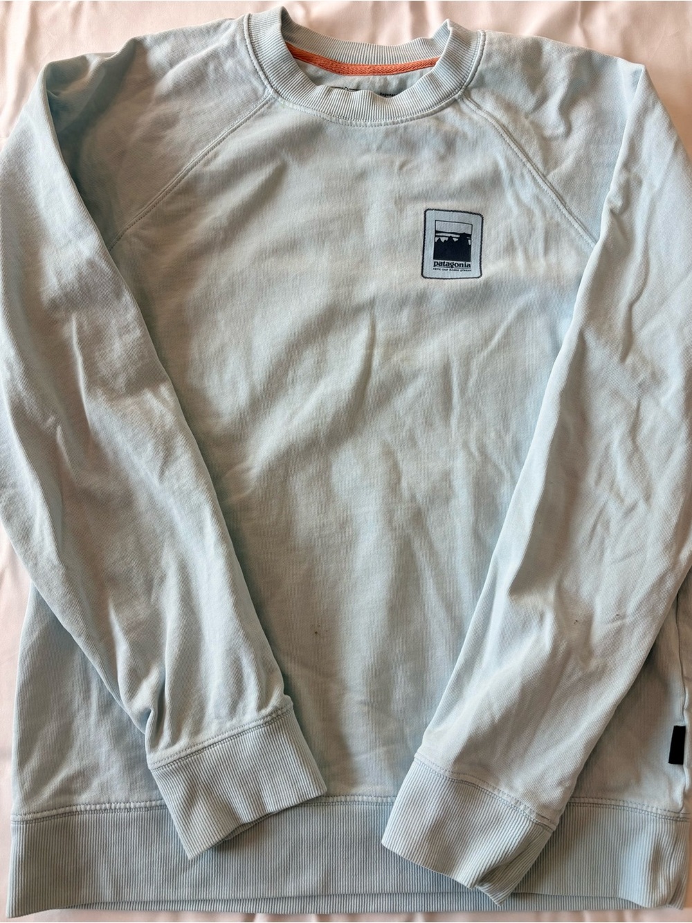 Patagonia Light Blue Crewneck Sweatshirt with Small Chest Logo